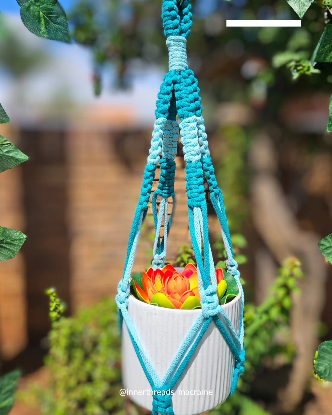 Plant & Garden