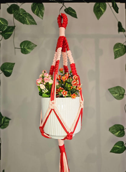Knotted Duet Macramé Plant Hanger - Classic Red and Old Rose