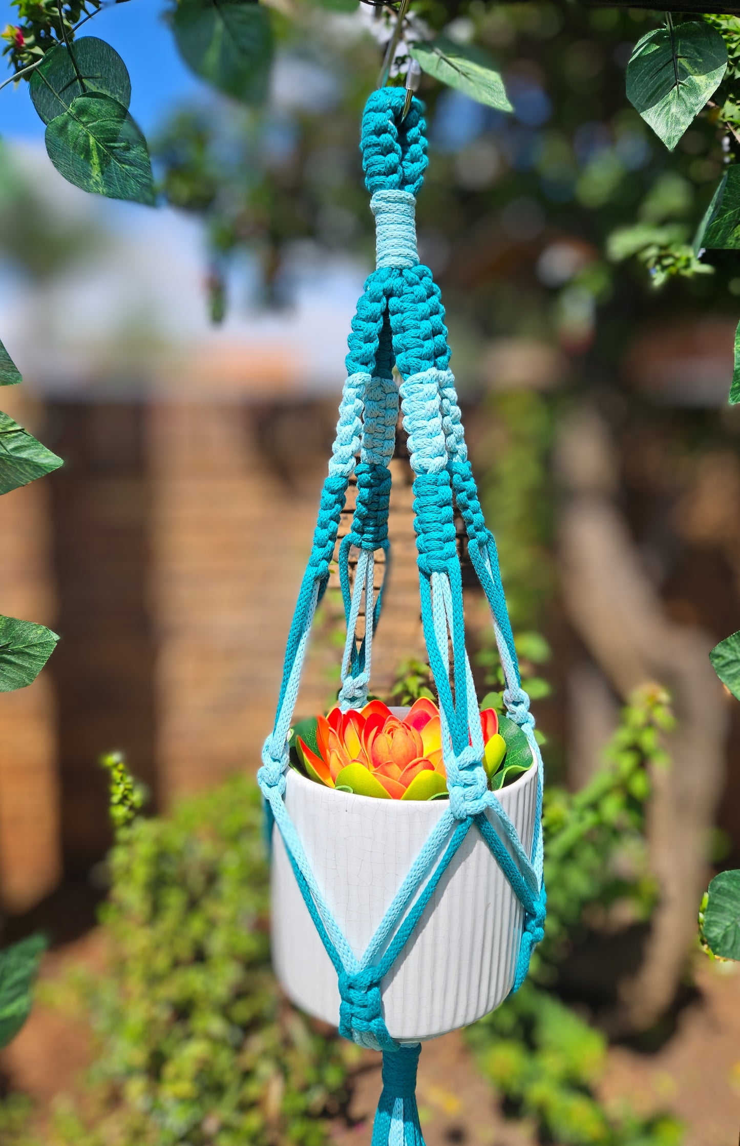 Knotted Duet Macramé Plant Hanger - Peacock Green and Teacup Teal