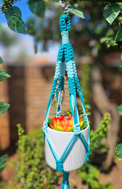 Knotted Duet Macramé Plant Hanger - Peacock Green and Teacup Teal