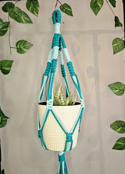 Knotted Duet Macramé Plant Hanger - Peacock Green and Teacup Teal