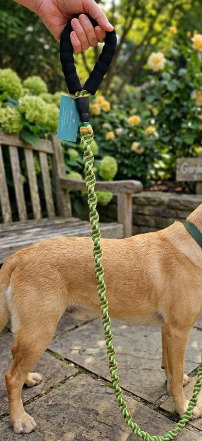 Wrapped Spiral Dog Lead - Medium-Large