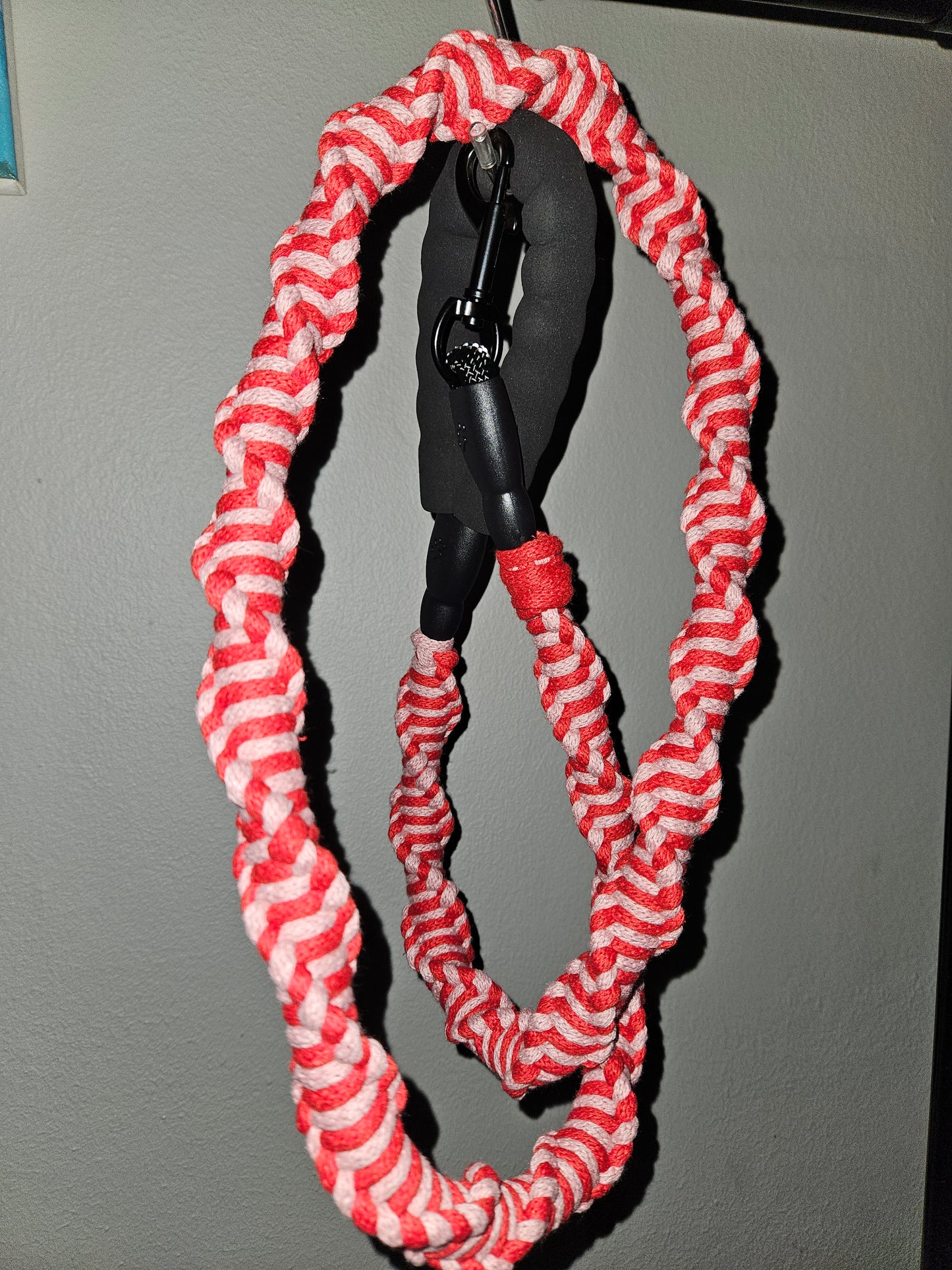 Dog Leashes