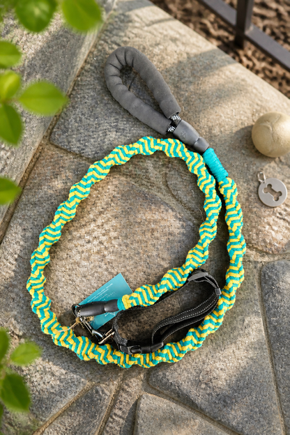 Dog Leash - Medium